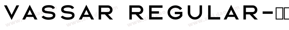 Vassar Regular字体转换